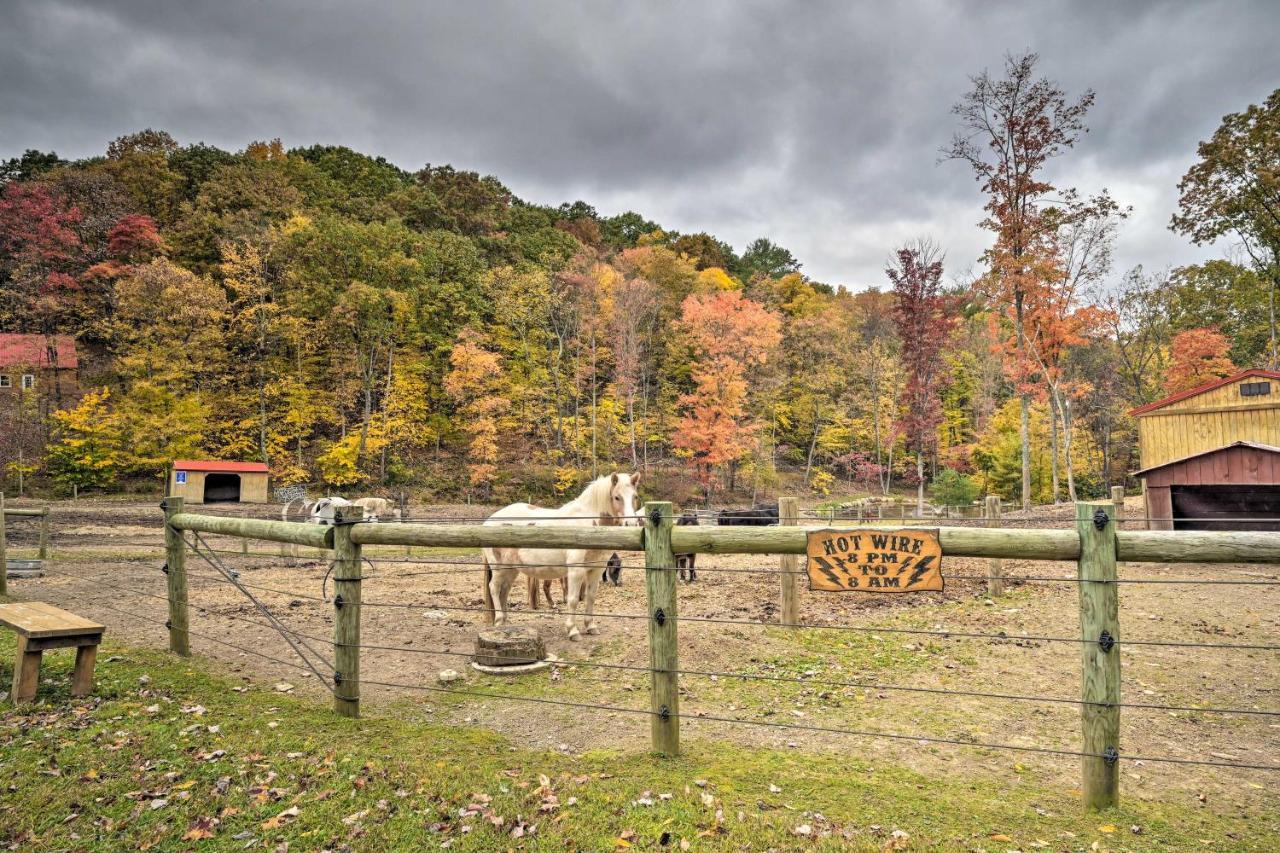 John Wayne Apartment - Deck, Bbq, Horses On-Site Huntingdon Kültér fotó