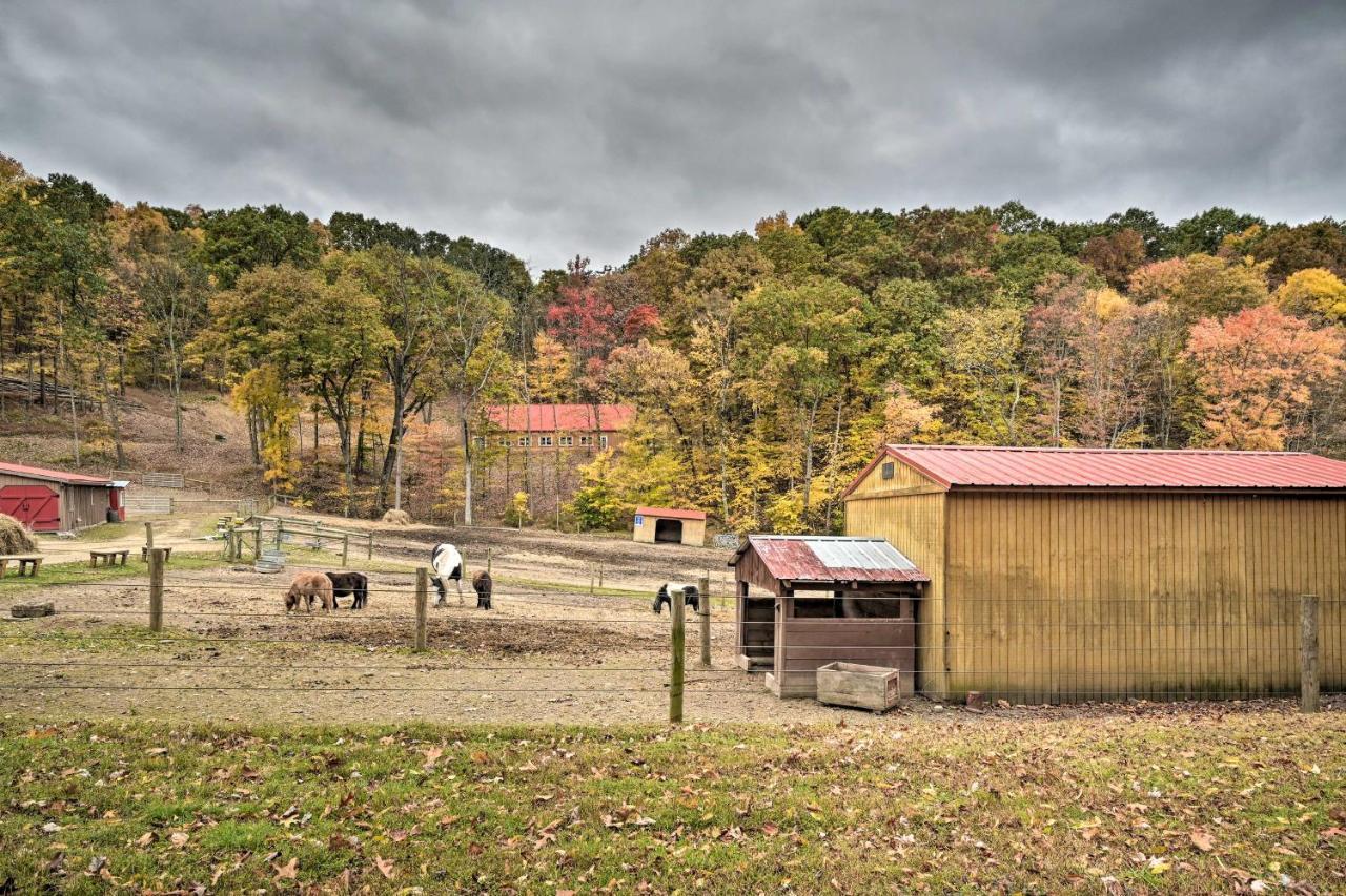 John Wayne Apartment - Deck, Bbq, Horses On-Site Huntingdon Kültér fotó